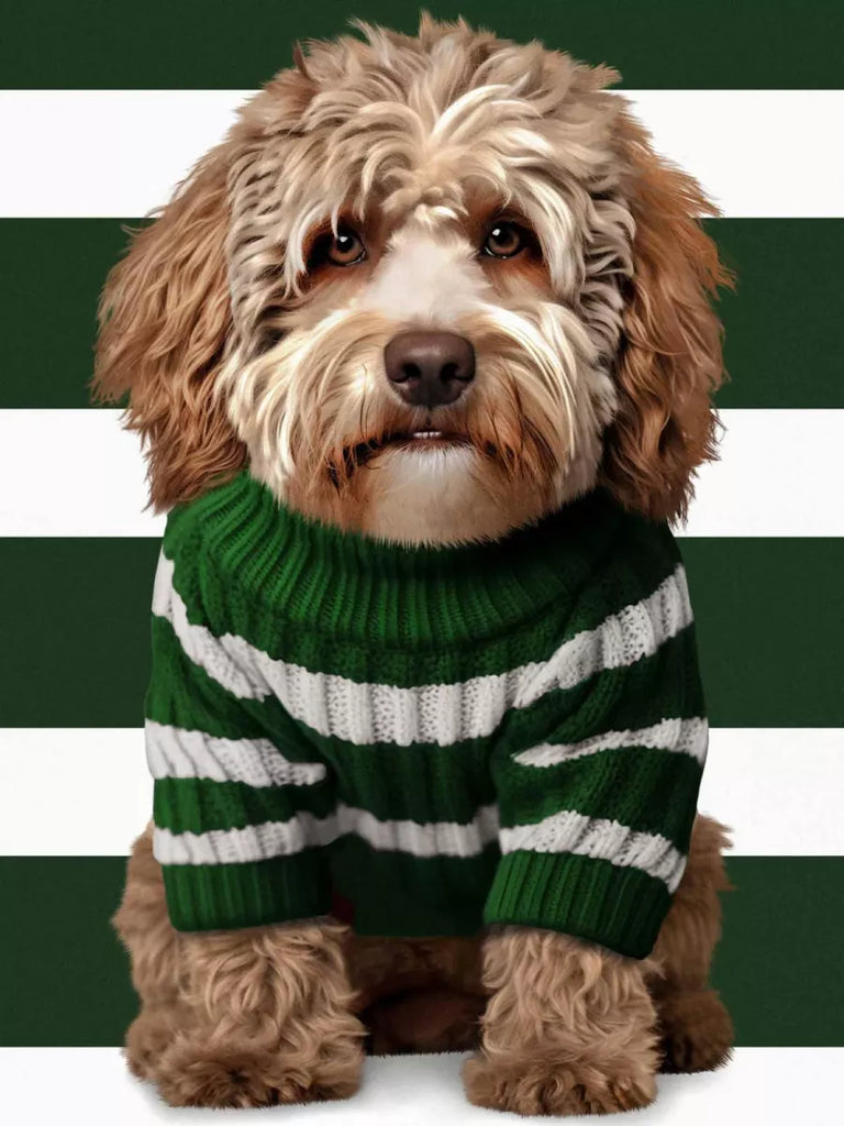 SNURK Snurk - Sweater - Labradoodle - Dark Green